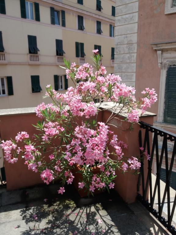 La Casa Del Viaggiatore * Genua